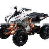 quad 250 kayo