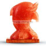 Dolphin Shape, Himalayan Salt Lamps