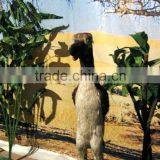 Animatronic Animal Great Auk for Sale