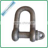 BS3032 LARGE DEE SHACKLE WITH SCREW COLLAR PIN