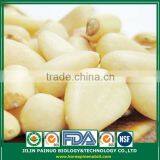 Wholesale Slimming Diet Chinese Red Pine Nut Kernels thumbnail-3