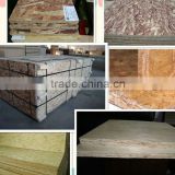 9~25mm cheap OSB 3 board (oriented strand board) prices from China