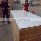 Trade Assurance Plain MDF Board Price for Furniture for Sale 1220*2440mm