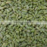 Green Raisins, Sultana Raisins, Seedless Raisins thumbnail-1
