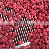 Frozen Raspberry thumbnail-3