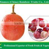Fresh Chinese Red Globe Grape with good taste grapes peru Seedless grapes