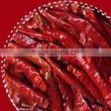 Dry Red Hot Chili thumbnail-1