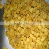 2016Top Level and Cheap Price Super Big Fruit F1 Hybrid Good Adaptability Green Pepper Seeds thumbnail-4