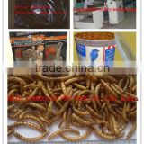 Dried insect food supplier of wild bird mealworms