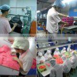 Jution Silicone & Rubber (Dongguan) Co., Ltd. company overview - view 4 thumbnail