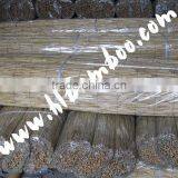 Packaged Natural Reed Fences for Garden or Home Decoration thumbnail-1