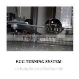 Brand New Incubator for Egg Bird With CE Certificate thumbnail-6