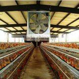 Poultry Farm Air Cooling System Wall Mounted Box Exhaust Fan thumbnail-6