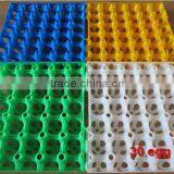 5*6 30 Holes Egg Tray PE for Packing and Transportation Plastic Egg Tray thumbnail-5