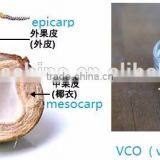 High Quality Newest Cold Pressing Coconut Oil Press Machine For Virgin Coconut Oil thumbnail-2