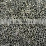 China Manufacturer Nail / Common Nail / Common Wire Nail thumbnail-6