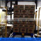 Best Price Automatic Canned Kiwi Fruit/kiwi Berry/actinidia Chinensis Palletizer and Unpiler thumbnail-6