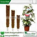 Biodegradable Garden Stakes Wholesale thumbnail-1