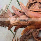 SJ2017200007 Hot Sale Outdoor Decorative Waterproof Fake Washington Artificial Plastic Palm Tree uv Anti thumbnail-4