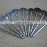 Galvanized Roofing Nails With Umbreall Head thumbnail-1