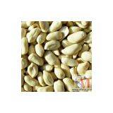 Sell Long Type Blanched Peanut Kernels thumbnail-1
