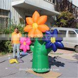 Attractive Giant Inflatable Flower for Wedding thumbnail-2
