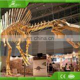 Amusement Playground Theme Park Life Size Dinosaur Skeleton for Display thumbnail-5