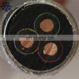 QYEEF10 3KV/5KV 2AWG 4 AWG Esp Power Cable Submersible Oil Pump Steel Tape Armored ESP Cable thumbnail-4