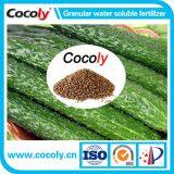 Cocoly Amino Acid Fertilizer+PAS