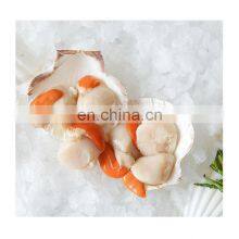 Good Taste Dried Scallop Meat for Sale thumbnail-2