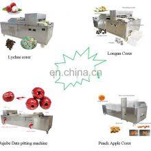 China Cheapest Price Best Quality Cherry Apple Peach Plum Olive Apricot Seed Core Pitter Remover On Warehouse