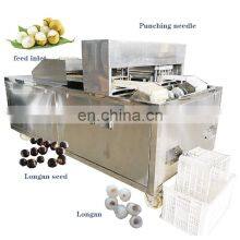 Runxiang Hot Selling Cheap Oli Olive Longan Lychee Apple Date Pitter thumbnail-2