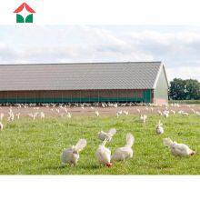 Low Cost Prefabricated Steel Chicken House for Sale Designs thumbnail-2