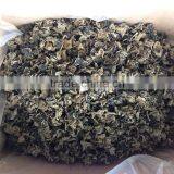 Dried Black Fungus in Bulk