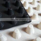 Hdpe Sheet Dimple Drain Board/ Dimple Drain Board thumbnail-2