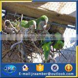 Aviary/bird Aviary/zoo Aviaries/bird Netting(made in China)