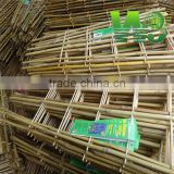 wy-z019 Eco-friendly Hooped Bamboo Sticks Cane Stake Arbors Trellis