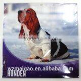 12-month Calendar 2014 :animal Designs