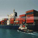 Shenzhen Shanghai Ningbo to Moji Kobe Osaka Nagoya Yokohama Kawasaki Freight Agent Service