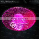 2015 Best Popular Pepper Shape Led Fiber Optic Lights With Remote Controller Twinkle Color thumbnail-6