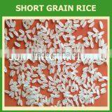 Vietnamese Rice : Long , Round, Short Grain, Jasmine, Japonica, Broken,... thumbnail-3