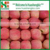 Chinese Fuji Apple/fresh Apple Fruit Specification/apple Price thumbnail-4