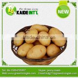 Fresh Potato Manufacturer