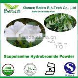 Hot Sell Manufacture Scopolamine Price