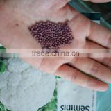 Seminis cauliflower seeds