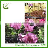 Dripper Irrigation Compensate Dripper for Watering System