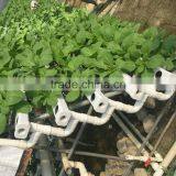 Hydroponic Vertical System Food Grade Customized
