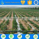 PE Irrigation Pipe for Irrigation System in Farm Irrigation