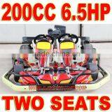 200cc 6.5HP 2 Seat Go Kart for Kids thumbnail-1