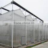 Large Greenhouse With Sunlight Board Covering thumbnail-3